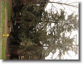 IMG_0598 * 2048 x 1536 * (1.84MB)