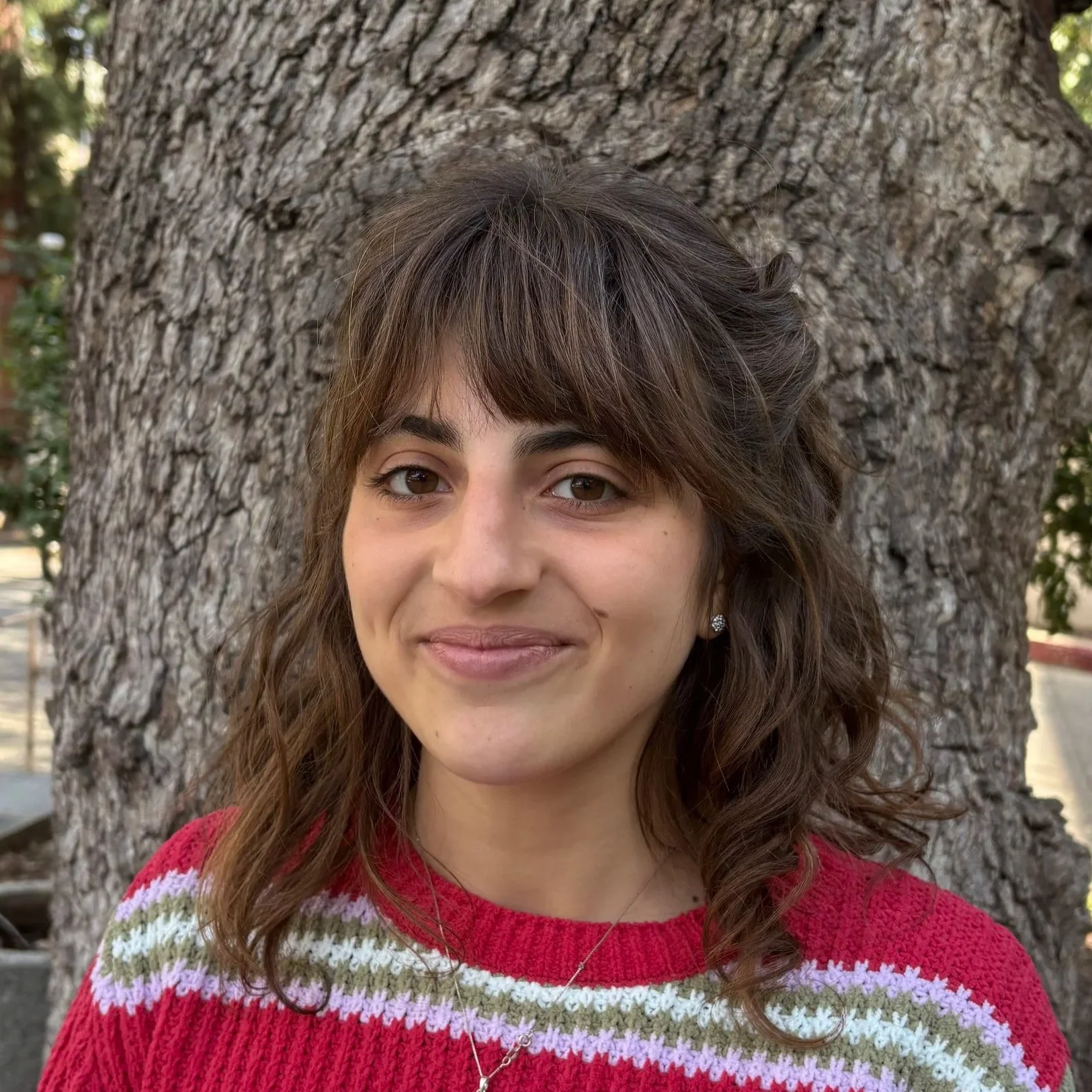 Ilaria Di Stefano